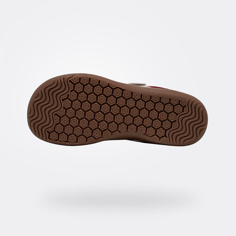 Niños Oncidium - Barefoot De Ocio